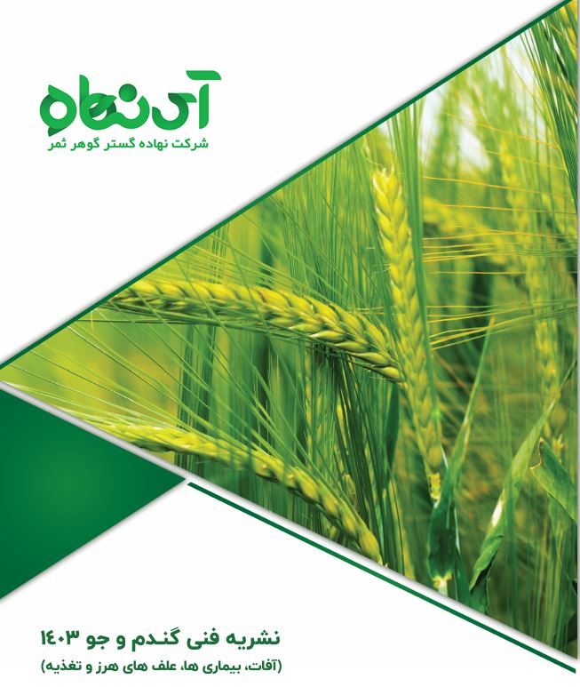 خلاصه نشریه فنی گندم و جو 1403 